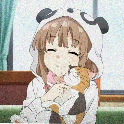 读者迟野的头像